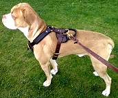 Attack Leather Dog Harness