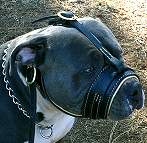 Dog Muzzle