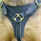 dog harness made of leather