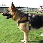 Leather Dog Harness For German Shepherd Dog