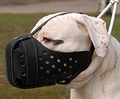 Leather dog muzzle For American Bulldog