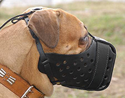 Leather dog muzzle for Bullmastiff