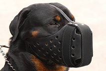 Leather dog muzzle