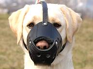 Labrador Leather dog muzzle