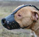 Pitbull Leather dog muzzle