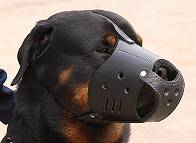 Rottweiler Leather dog muzzle