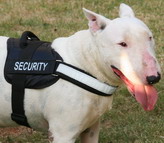 Bull Terrier All Weather Reflective harness