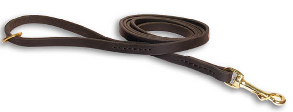 dog leather leash