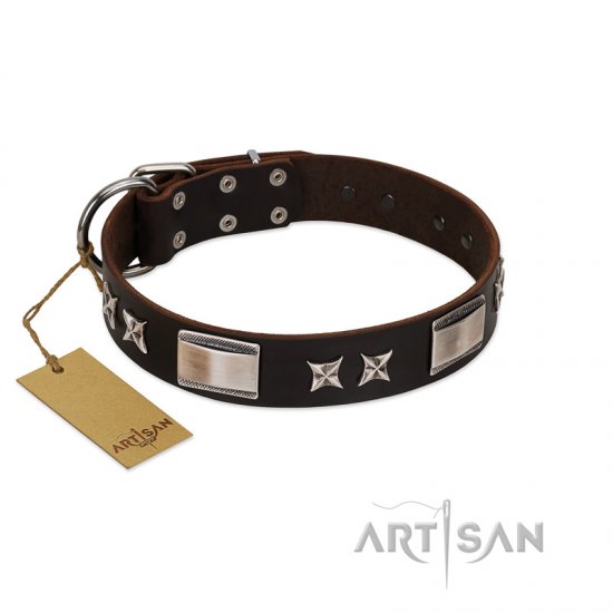 "Satin Beauts" FDT Artisan Brown Leather Dog Collar with Stars and Plates - Click Image to Close