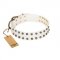 "Crystal Night" FDT Artisan White Leather Dog Collar with Two Rows of Small Studs