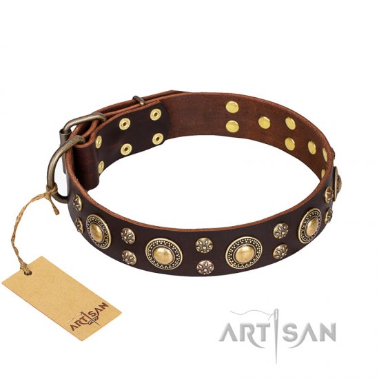 ‘Flower Melody’ FDT Artisan Brown Leather Dog Collar with Mixed Studs - Click Image to Close