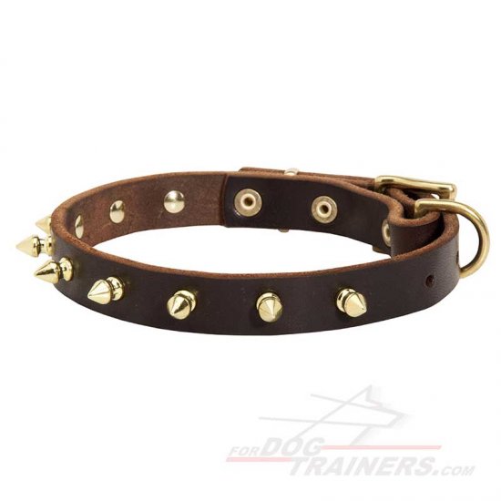Unique Walking Spiked Leather Collar