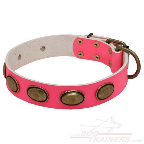 Pink Leather Collar with Oval Vintage Plates for Training Female Dogs