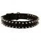 Spiked Black Nylon Dog Collar for All Weather Use