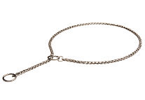 Exclusive Design Show Dog Collar