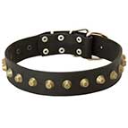 Exclusive Wide Leather Dog Collar - Fashion Design