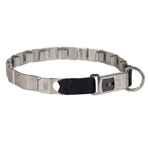 metal dog collars