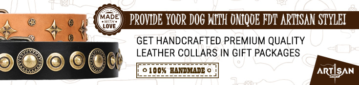 Get Handcrafted Premium Quality Leather Collars in Gift Packages