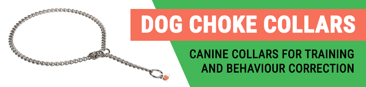 Canine Collars for Training and Behaviour Correction