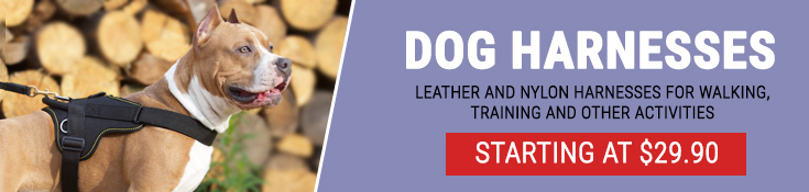 Leather and Nylon Harnesses for for Walking, Training and Other Activities