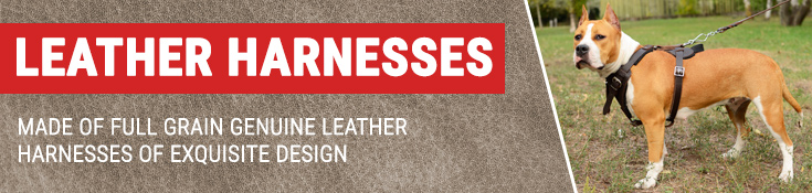 Made of Full Grain Genuine Leather Harnesses of Exquisite Design