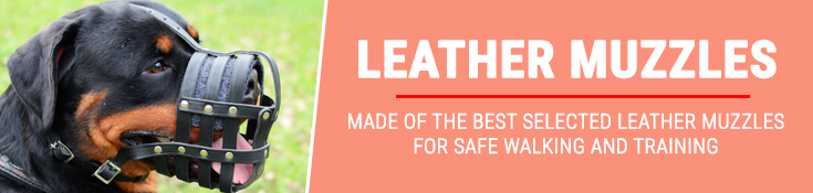 Made of the Best Selected Leather, Muzzles for Safe Walking and Training 