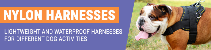 Lightweight and Waterproof Harnesses for Different Dog Activities