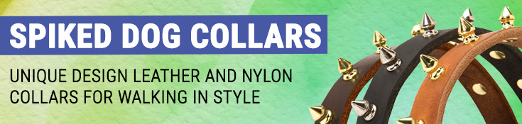 Unique Design Leather and Nylon Collars for Walking in Style