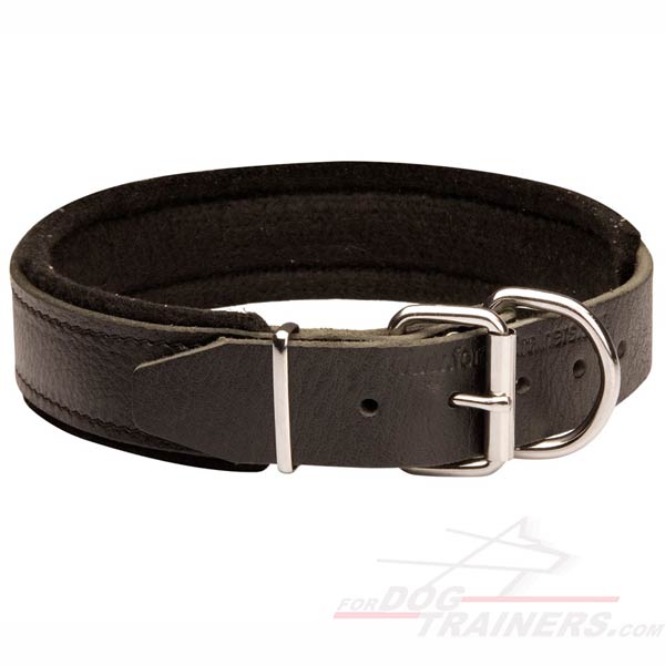Leather Collar for training