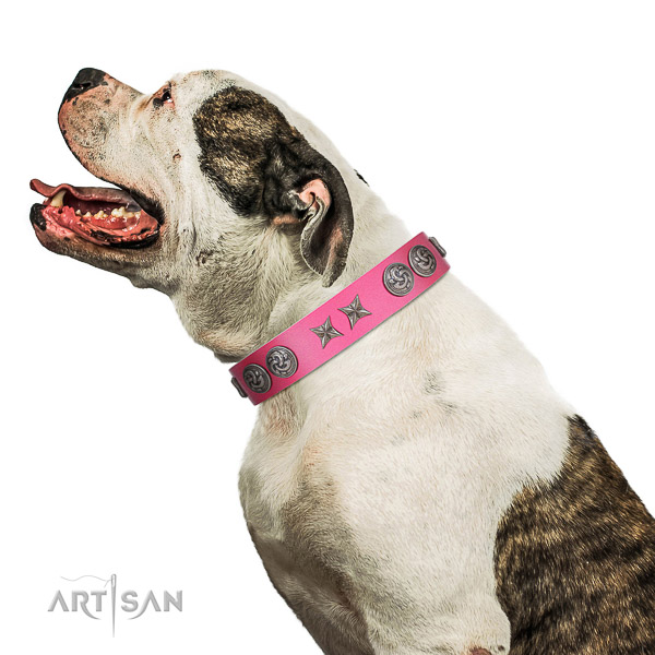 Walking top-notch quality walking leather American
Bulldog
collar