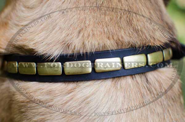 Design Brass Plates on Dog Collar Leather