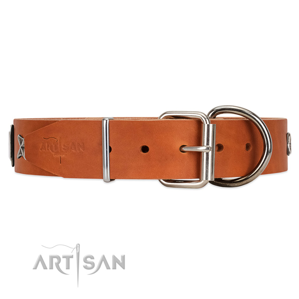 Tan leather dog collar with durable fittings