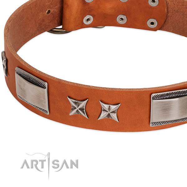 Tremendous tan leather dog collar with chrome plated
decorations