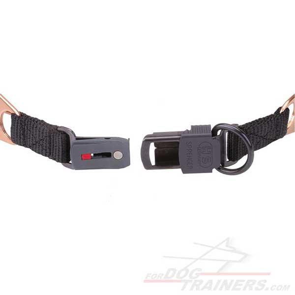 Click-Lock Buckle of Prong Canine Collar