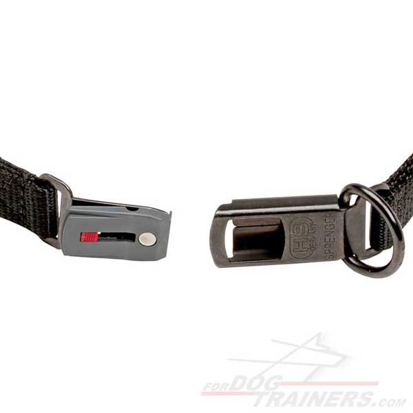 Click Lock Buckle on Training Curogan Dog Pinch Collar