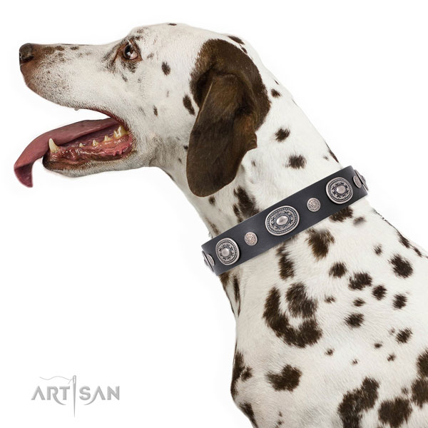 Dalmatian stylish design leather dog collar with adornments