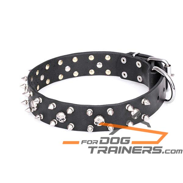 Pirate Design Leather Dog Collar with Chrome Plated Decor