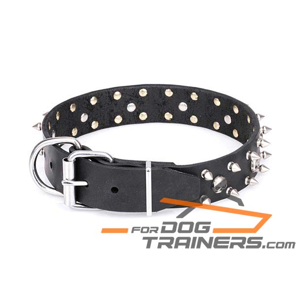 Decorated Leather Dog Collar with Super Strong D-Ring