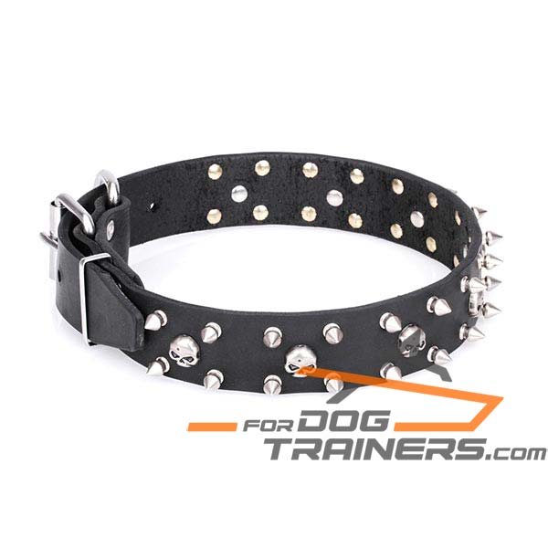 Trendy Dog Collar with Pirate Design