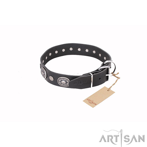 Fashionable Leather Dog Collar with Chrome Plated D-Ring