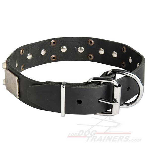 Dog Leather Collar Nickel Plated Decor