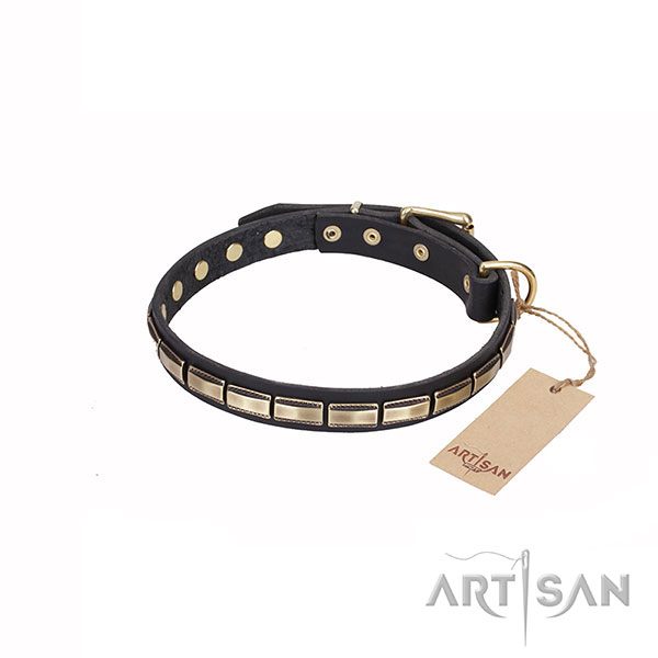 Trendy Dog Collar Decorated with Plates