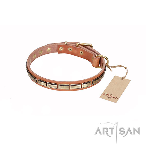 Amazing Design Leather Dog Collar with Durable D-Ring
