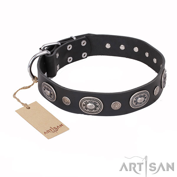 Stylish Dog Collar with Silver-Like Decor