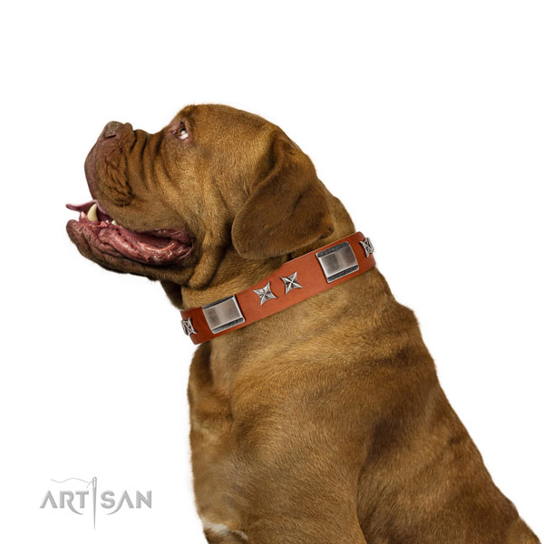 Adjustable leather Dogue de Bordeaux collar for walking