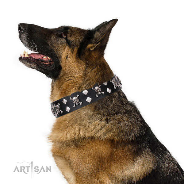 German Shepherd inimitable full grain leather dog collar with adornments