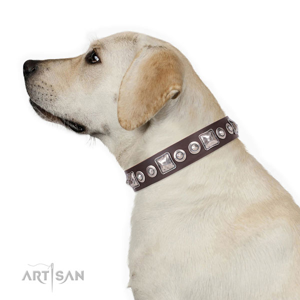 Labrador adorned leather dog collar with embellishments