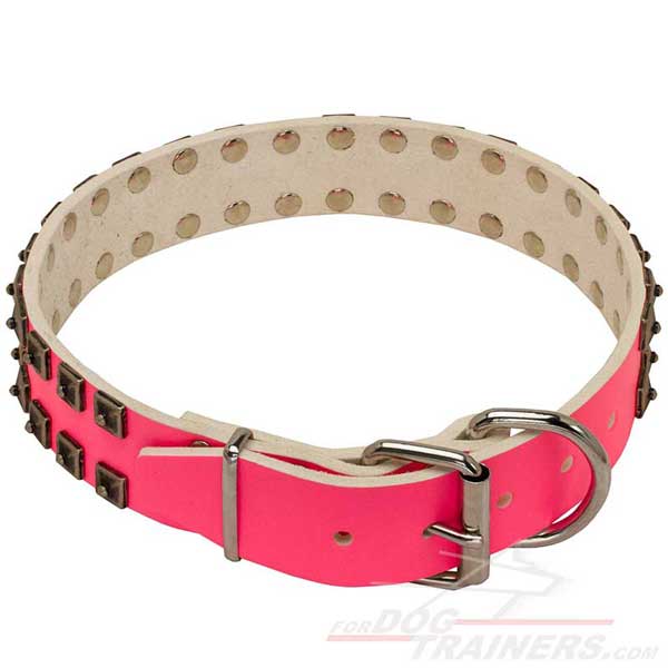 Leather Dog Collar with silver-like hardware