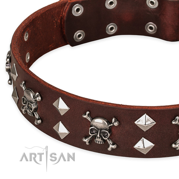 Strong brown leather dog collar with buckle and D-ring