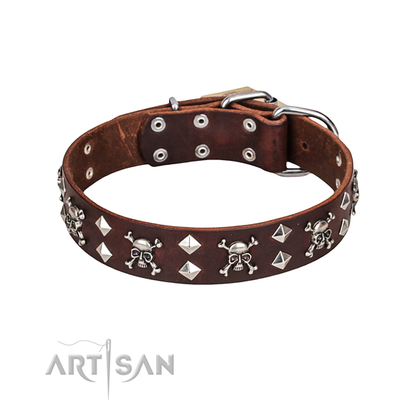 Adorned brown leather dog collar